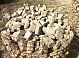 Брусчатка из песчаника колотая галтованная 6-9см  цвет: серо-зеленый